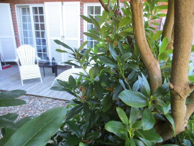 Luft Und Meer 4**** Ferienwohnung Hage Esterno foto